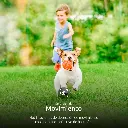 bn_carrusel_nhc_o640_esp_04.webp