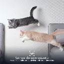 banners-carrusel-nha-p610_spa_5.webp
