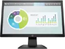 HP P204 - LED-backlit LCD monitor - 19.5"